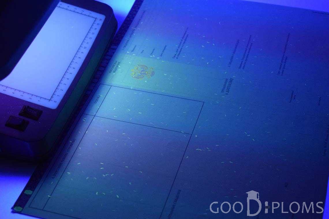 Приложение к Диплому Бакалавра с Отличием в Ультрафиолете период c 2013 по 2025 год - Северодвинск