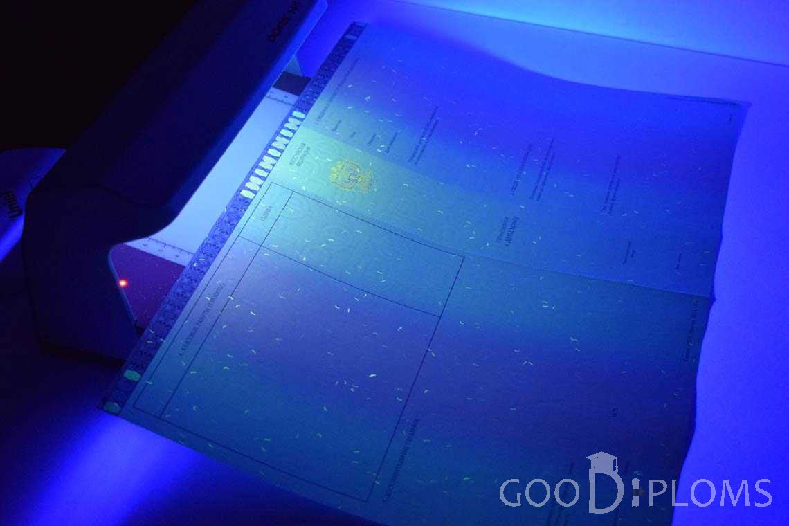 Приложение к Диплому Магистра в Ультрафиолете в период c 2014 по 2025 год - Северодвинск