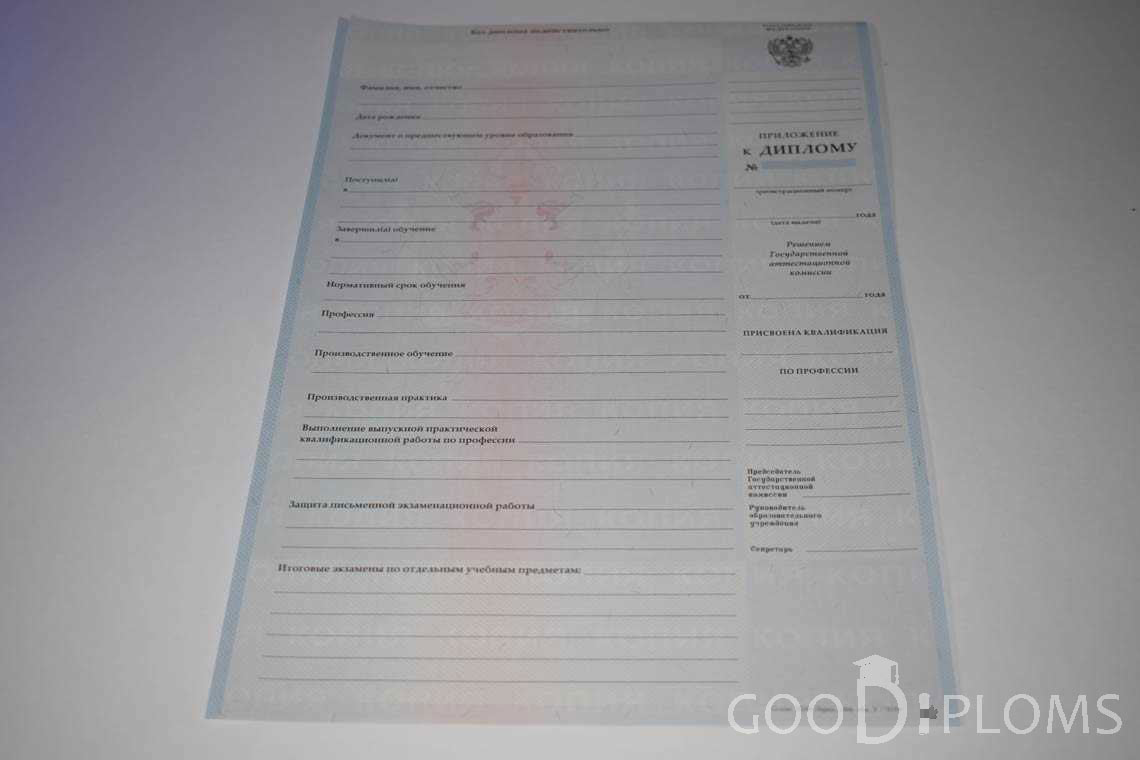 Приложение к Диплому Училища период выдачи 2007-2010  -  Северодвинск