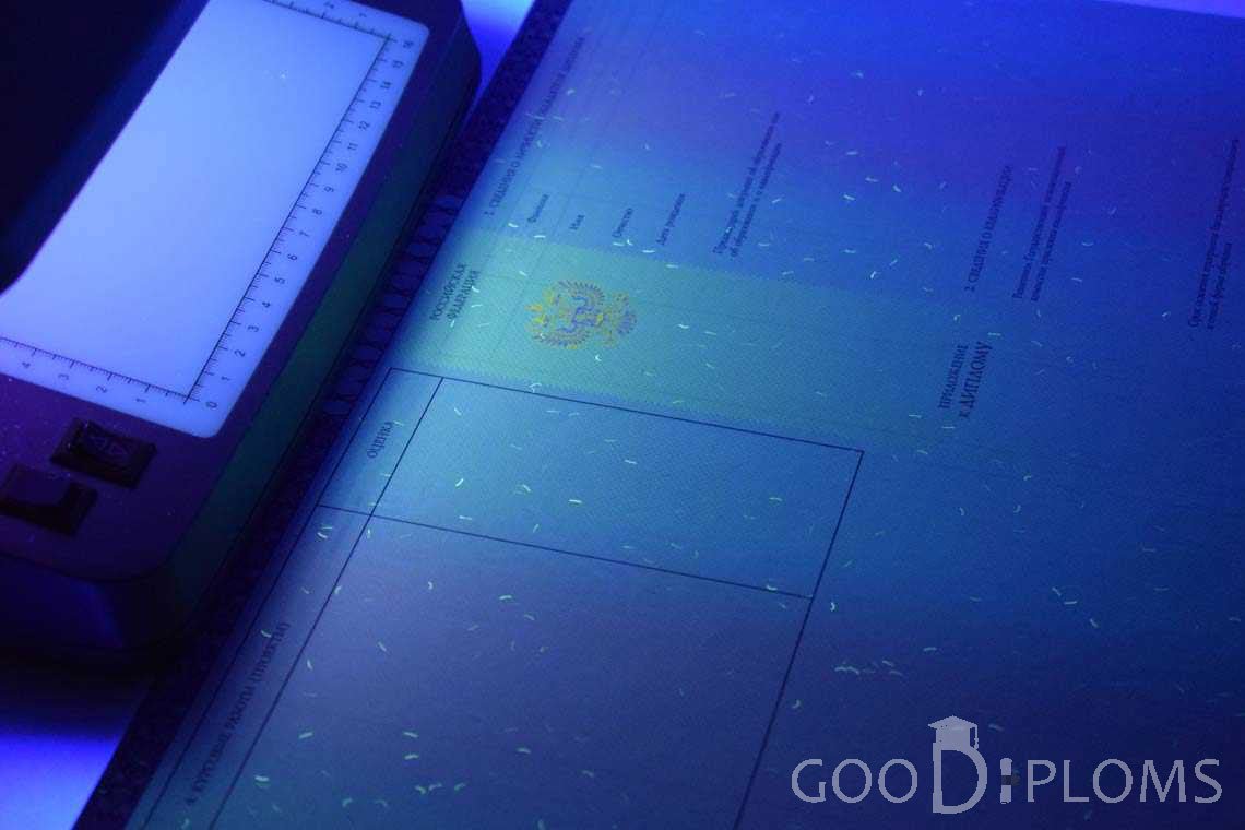 Приложение к Диплому о Высшем Образовании с Отличием в Ультрафиолете - Северодвинск